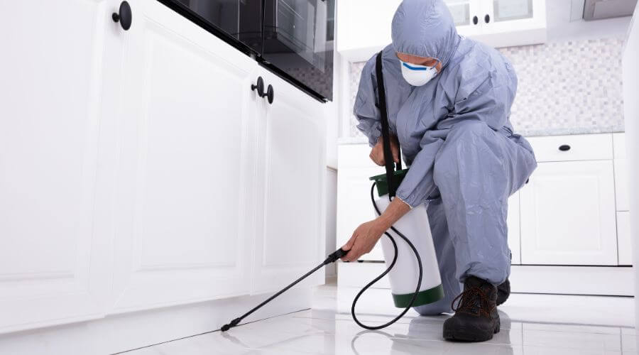 Professional hoa services services in Dearborn Heights